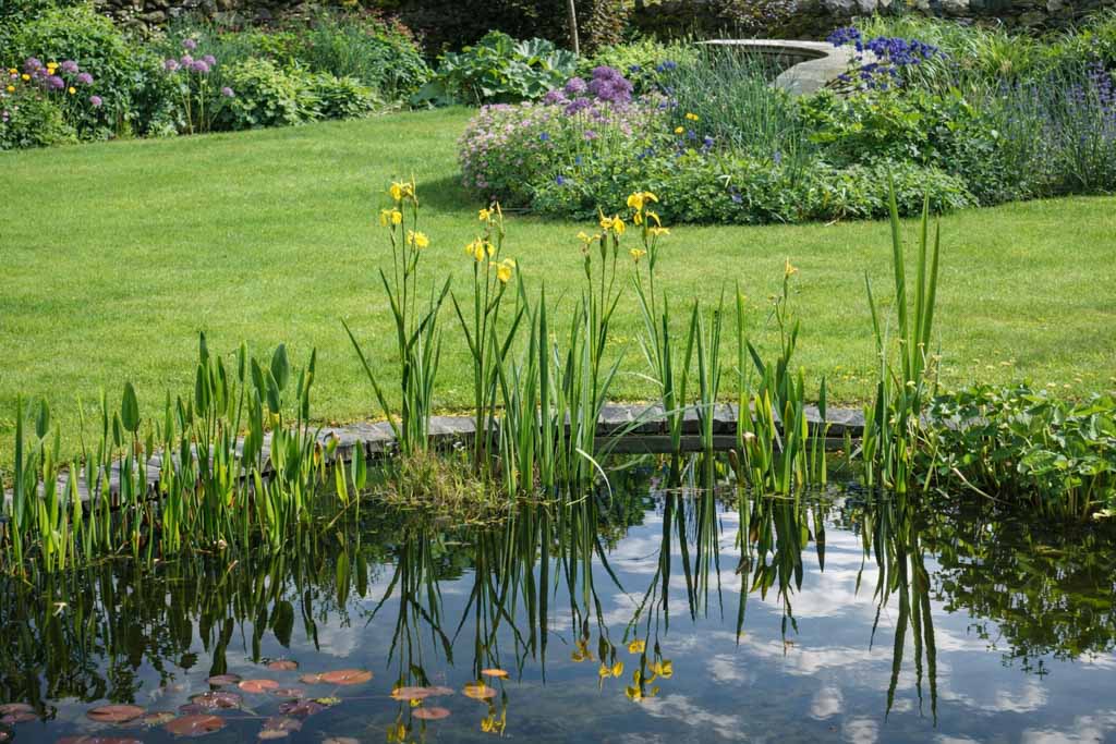 Dales Garden